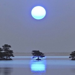 See Dee - Boat