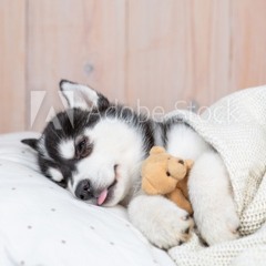 Relaxing Music For Kids