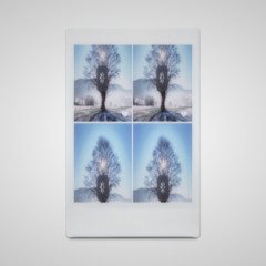 TR : Solstice