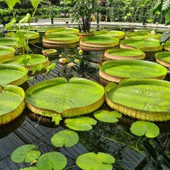 Fractal Meat On A Spongy Bone 231225