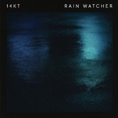 Rain Watcher