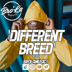 Different Breed (Instrumental) - Jerk Drill - 142BPM - C Minor