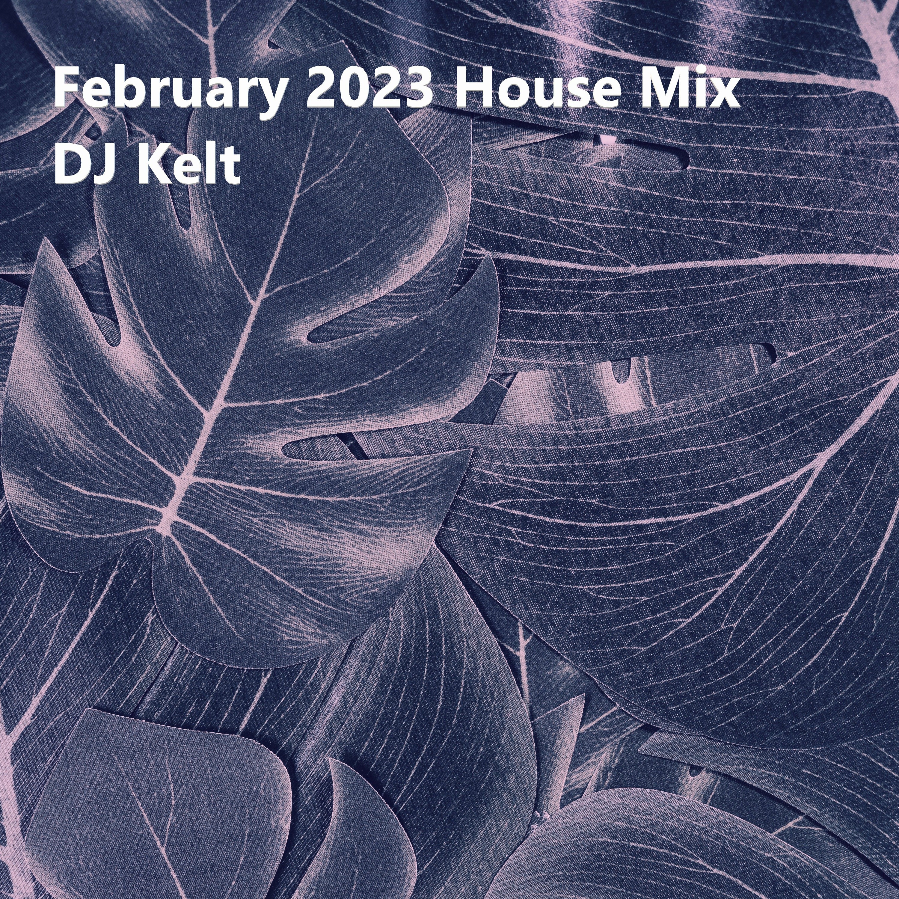 DJ Kelt\'s Podcast: Electronic Lucky Bag - Techno House Melodic Deep Hardgroove