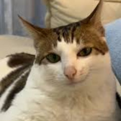 Schranz und Kiefersperre(155-160bpm)