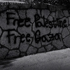AVIE - FREE PALESTINE