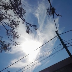 00♧00512 ◇ 0312 (Original Mix)