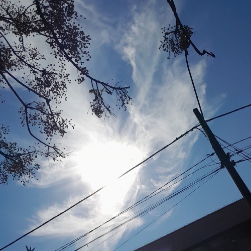 00♧00512 ◇ 0312 (Original Mix)