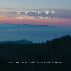 Forster - Song of Myself | The spotted hawk swoops by