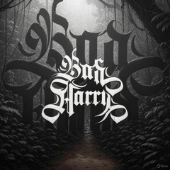 Bad Harry - Rumble 17.11.23
