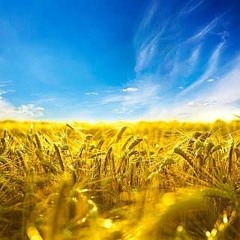 Шанувальникам руського міра