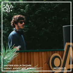 Modulo @ Another Soul in the Park (2022.08.14)