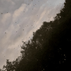 way 2 basic ft. PlayinTrix (prod. useless)