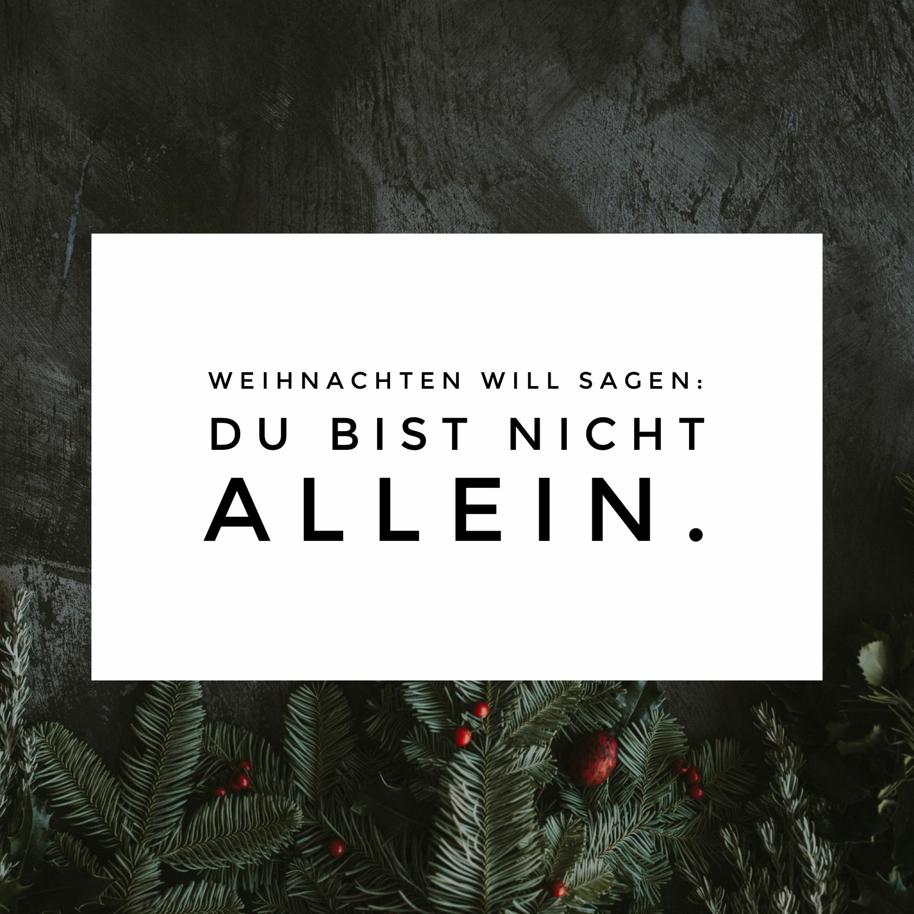 Weihnachten will sagen: du bist nicht allein (P. George Elsbett LC) episode artwork