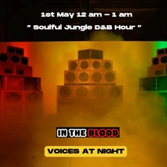In The Blood -  Soulful Jungle Drum & Bass Mix Voices Radio (May 2024)