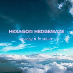 FREE DOWNLOAD: Hexagon Hedgemaze - Leaving It To Nature