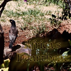 Africa's Heartbeat