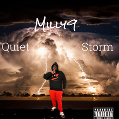 Quiet Storm Remix