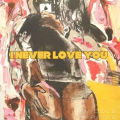 I Never Love You