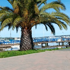 It's Only A Song (Fun Time Version)