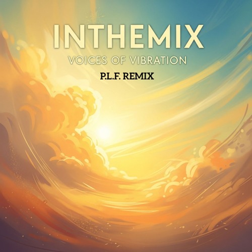 InTheMix - Voices of Vibration (P.L.F. Remix)