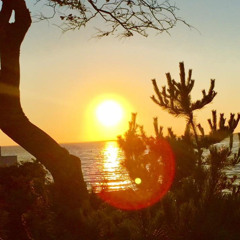 Sunshine State of Mind