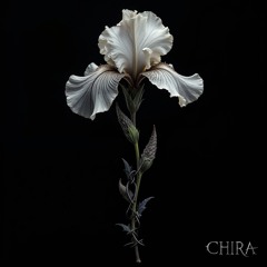 Bleed For You (CHIRA Remix)