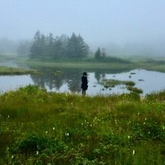 Conte d'immobilité #2