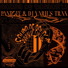 Pankoff & DJ Various Trax - Big Space