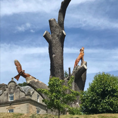 Thank You Freerotation: 12th July '25
