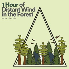 1 Hour of Distant Wind in the Forest, Pt. 3