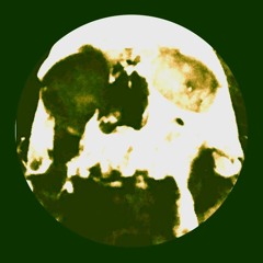 DerAntiTanz_@WaveVsIndustrial[28-12-24]