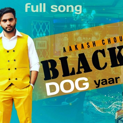 Blackdog Yaar