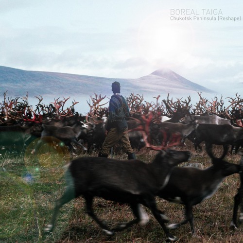 Chukotsk Peninsula (Reshape)