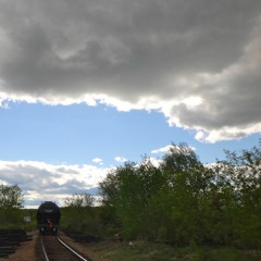 All She Wants Is Love