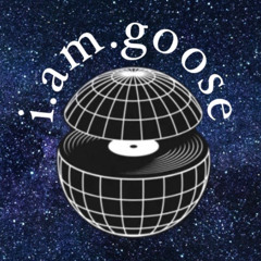 Shining (i.am.goose remix)