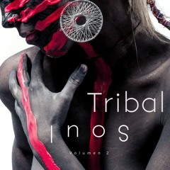 Tribal Soul Vol.2