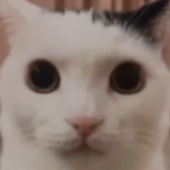 DeezNuts (Prod. Amo)