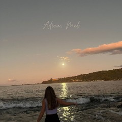 Haniki - Adieu