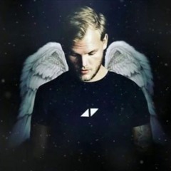 Avicii Tribute
