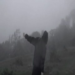 im trying to be sane