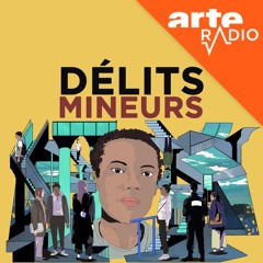 Délits mineurs