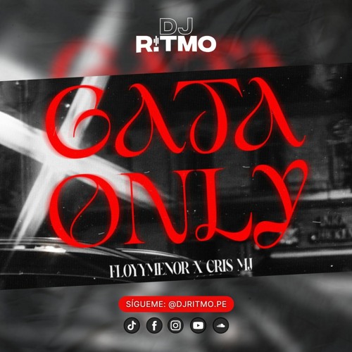 DJ RITMO - Mix 4 Gata Only (Reggaeton,Salsa,Variados)