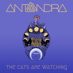 The Cats Are Watching