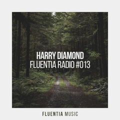 Harry Diamond - Fluentia Radio 013