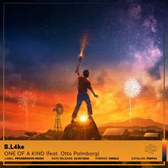 B.L4ke - One of a Kind (feat. Otto Palmborg)