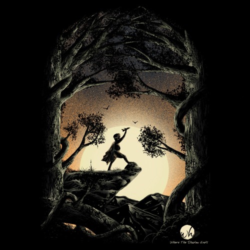 Amir Telem & Radical Fantasy - Teach Me To Fly (Original Mix)