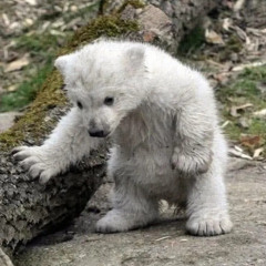 Set - It's Time to Change 2025