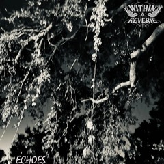 Echoes