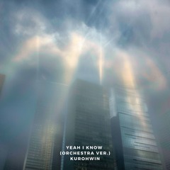 yeah i know (orchestra ver.)