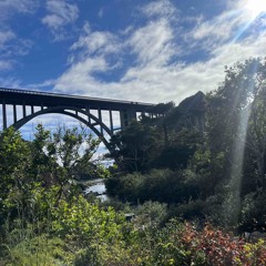 hallelujah MASTER UPDATED.m4a